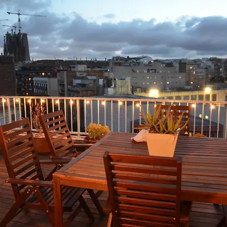 Sunny Terrace