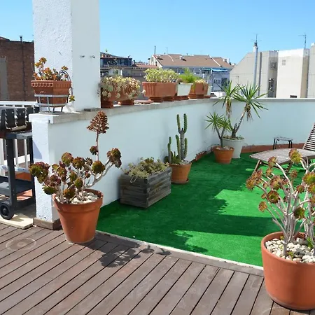 Apartment Sunny Terrace